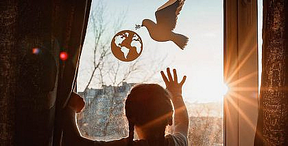 Discover the benefits of sun control window film for your home
