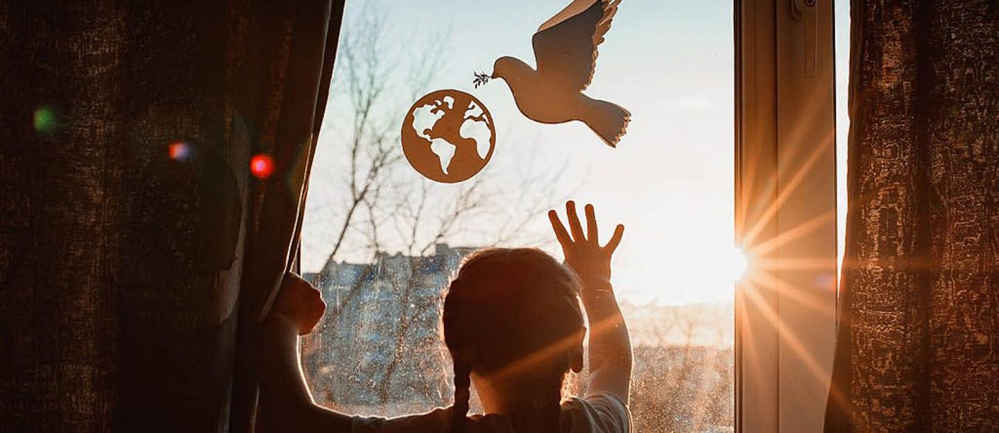 Discover the benefits of sun control window film for your home