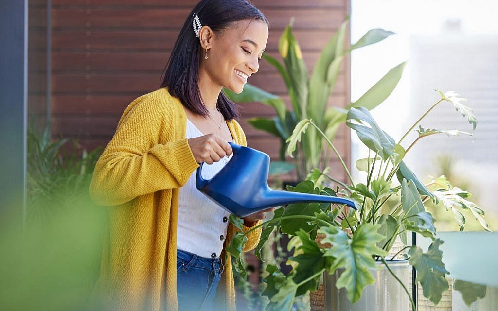  Young woman smiling as she waters a large houseplant with a blue watering can.
