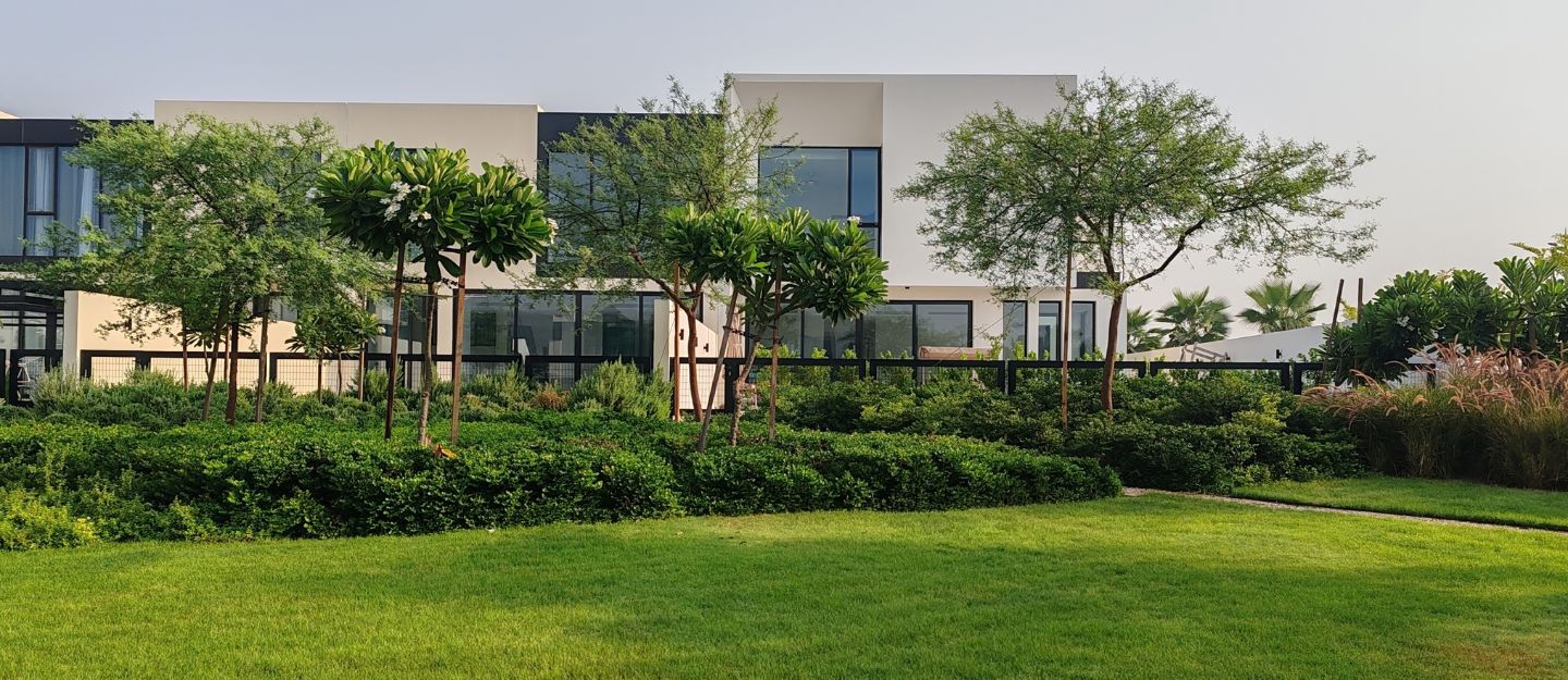Nad Al Sheba area overview