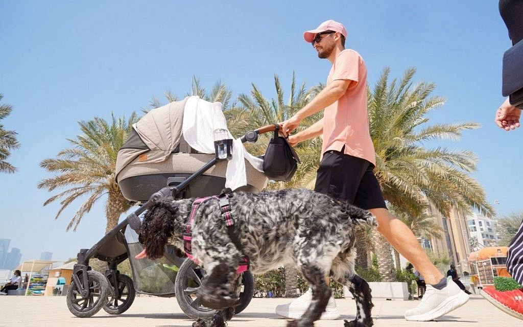 A man walking a dog in a park