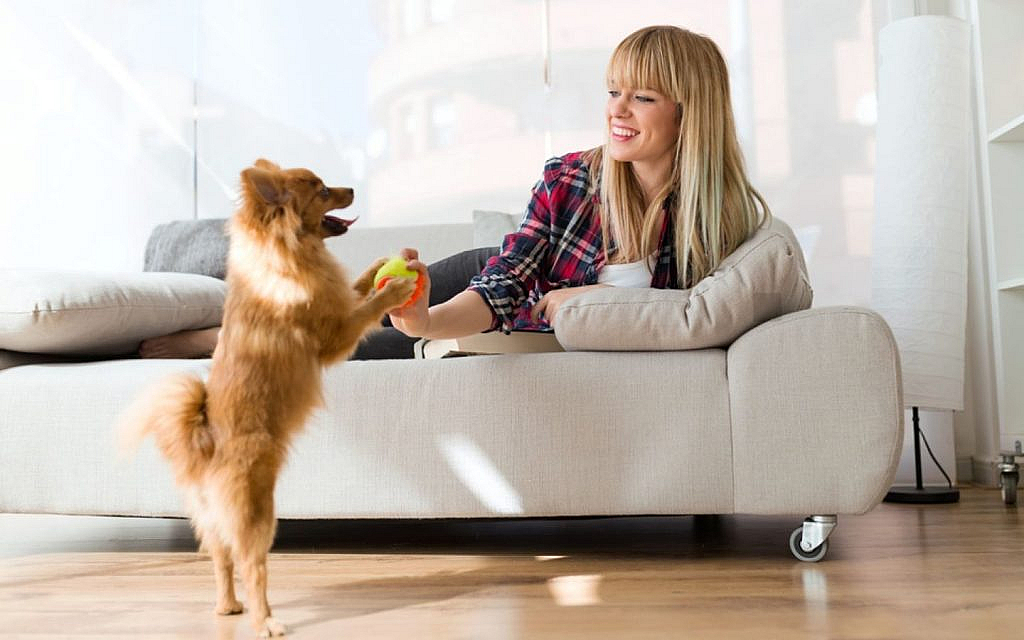 A couple moving in an apartment with a dog