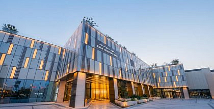 Areas to Rent Villas Near Palm Jumeirah Mall by Dubai Retail