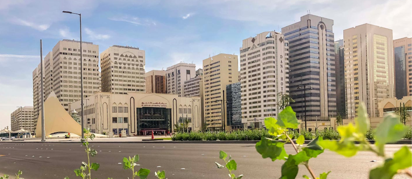 Al Danah Area Overview