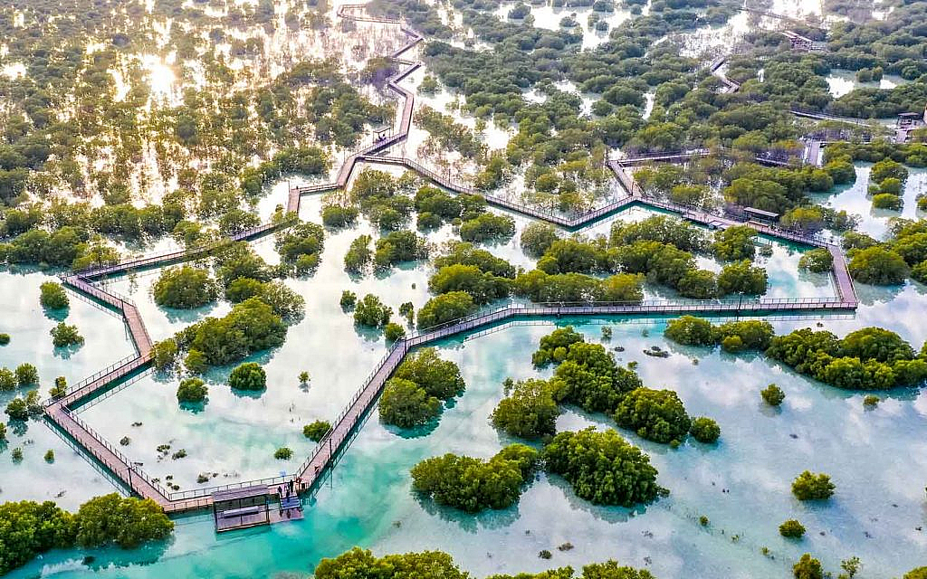 mangrove park in Al Jubail island