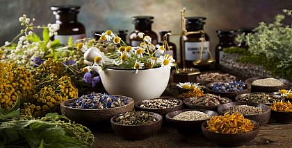 نباتات وأعشاب