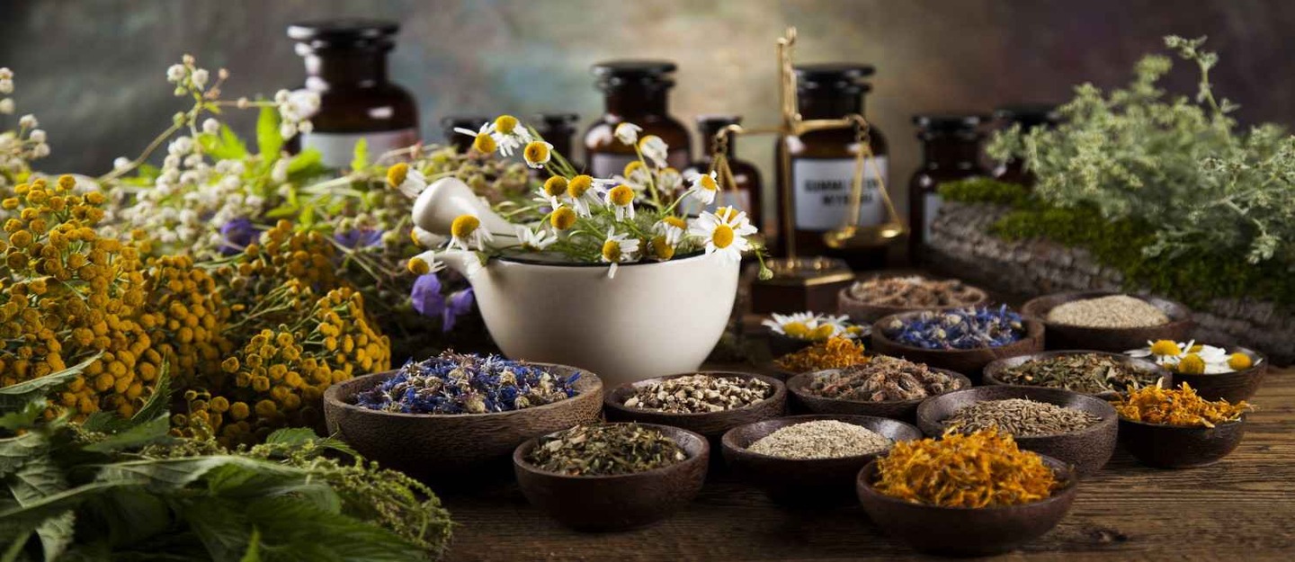 نباتات وأعشاب