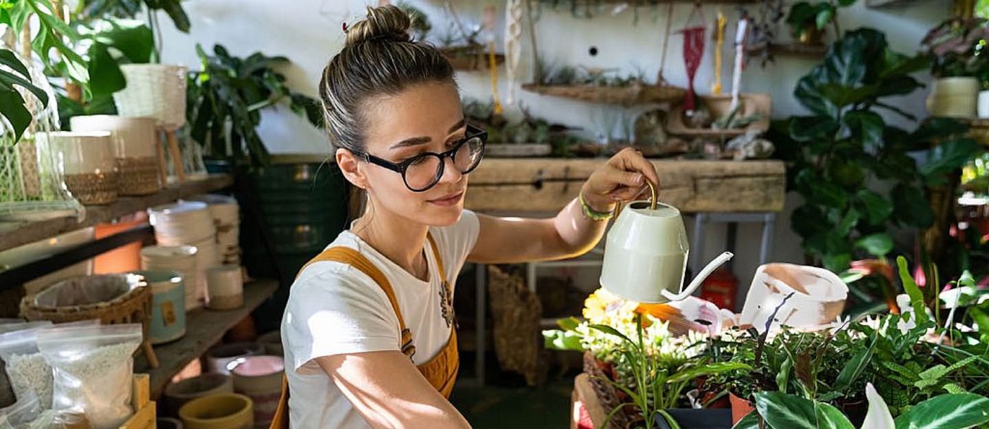 You can buy several plants in Dubai