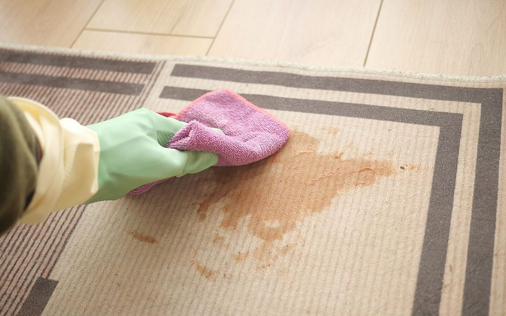 Wipe the stain on carpet