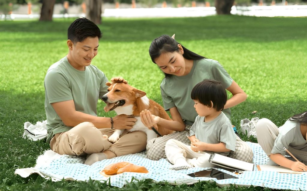 Always supervise kids and pets and follow safety rules in shared spaces.