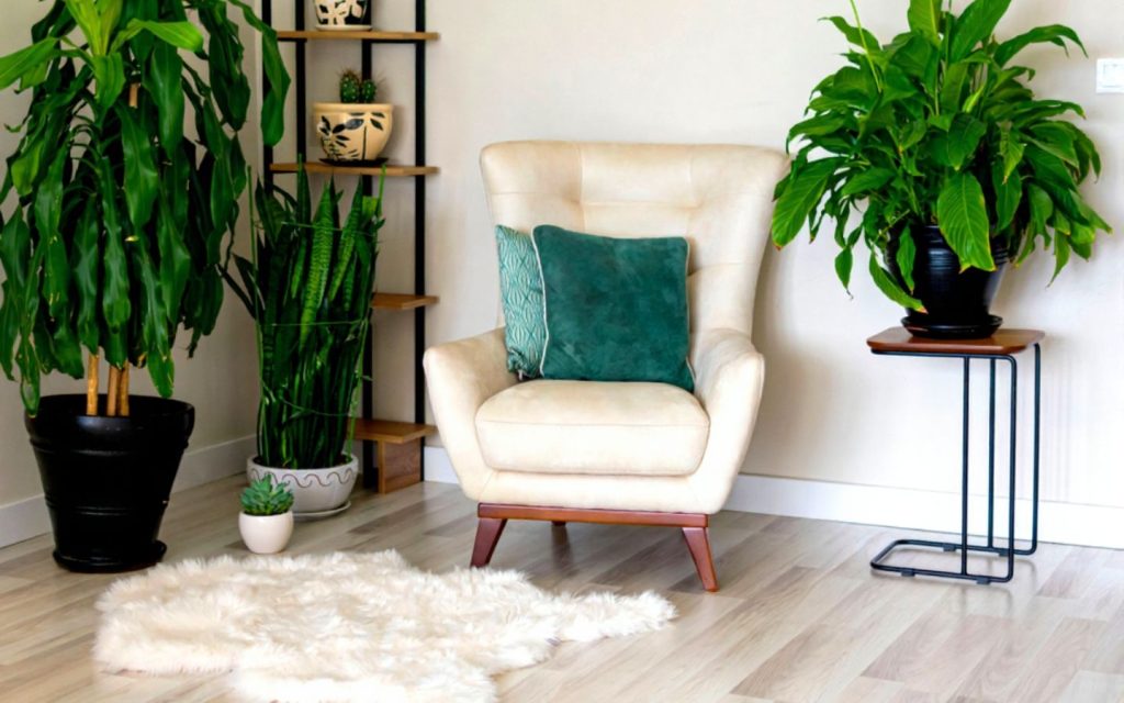 A cosy corner with a white sofa in a home