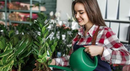 buy plants in Ajman