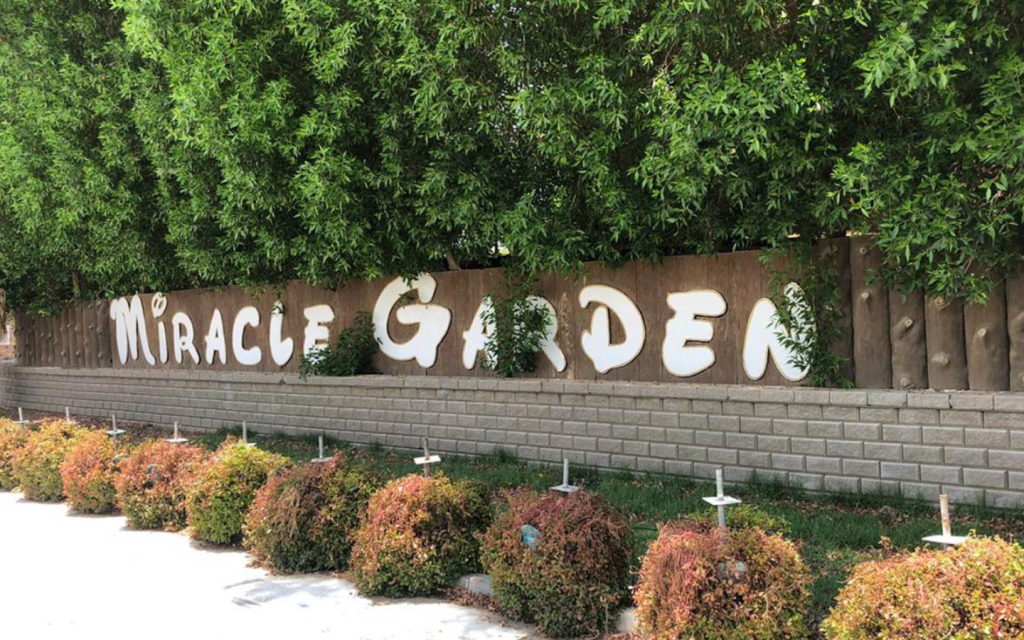 Dubai Miracle Garden and Dubai Butterfly Garden are located in Arjan