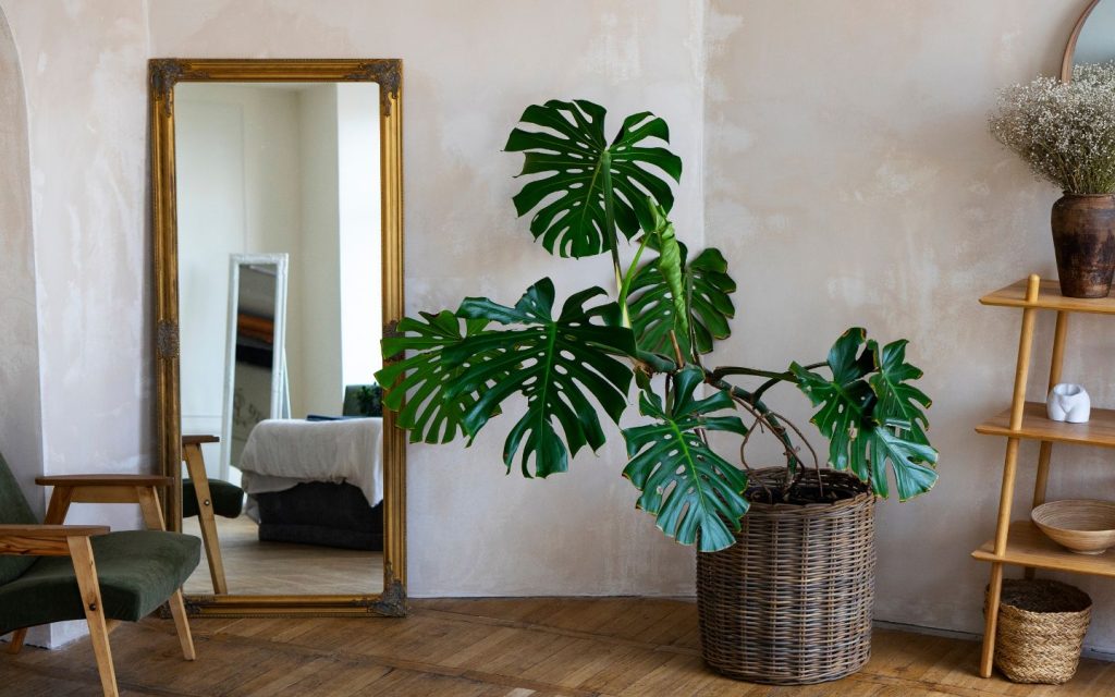 make room look bigger with mirrors on feature wall