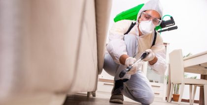 You can find several municipality-approved pest control companies in sharjah