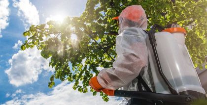 you can find several pest control companies in Ajman