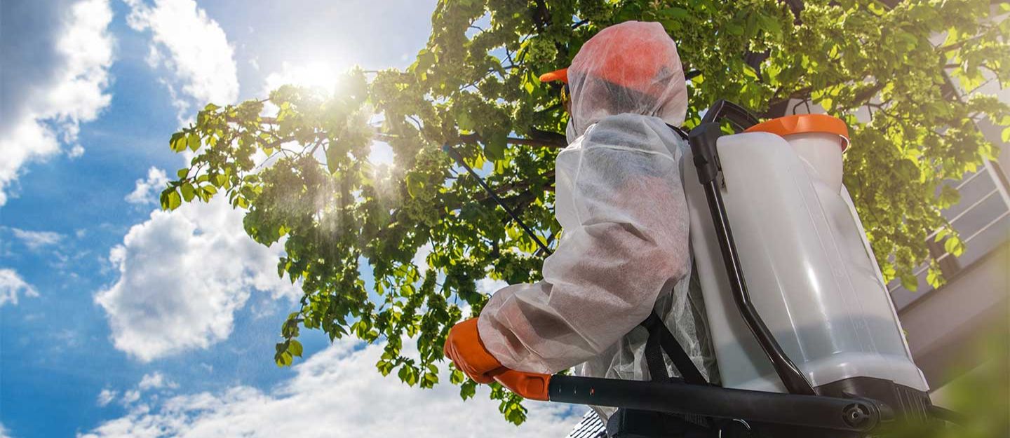 you can find several pest control companies in Ajman