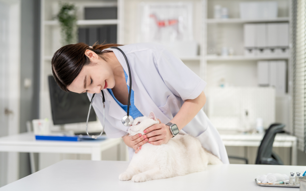 Abu Dhabi pet vaccinations requirements for cats