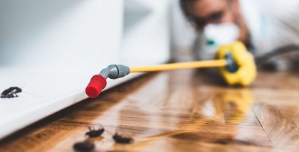 Pest control companies in Ras Al Khaimah offer several services