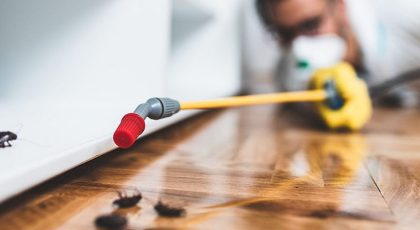 Pest control companies in Ras Al Khaimah offer several services