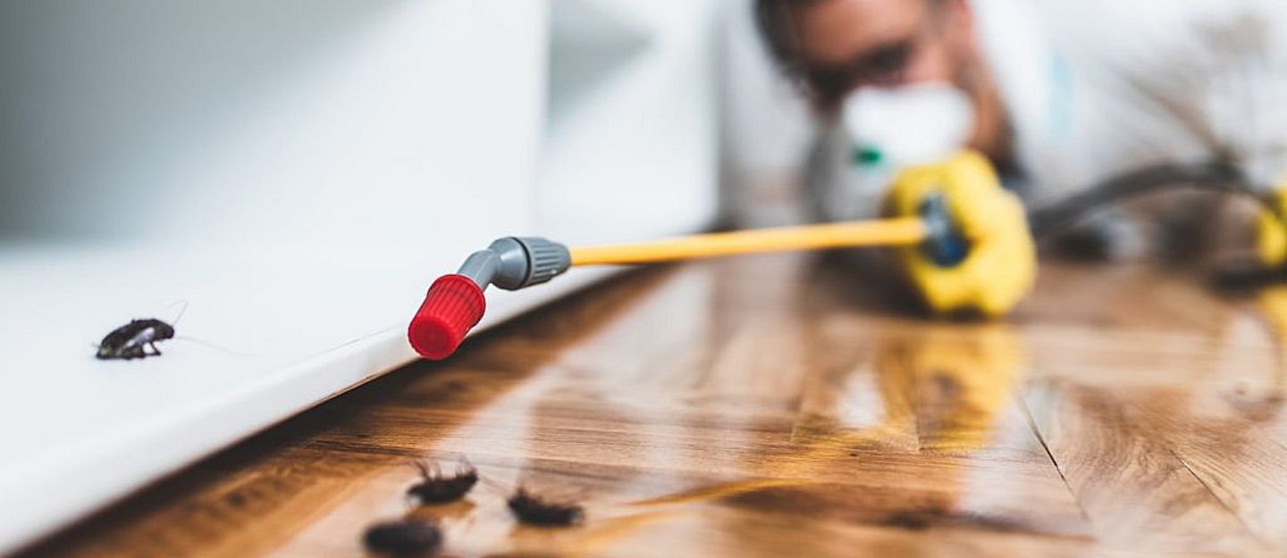 Pest control companies in Ras Al Khaimah offer several services