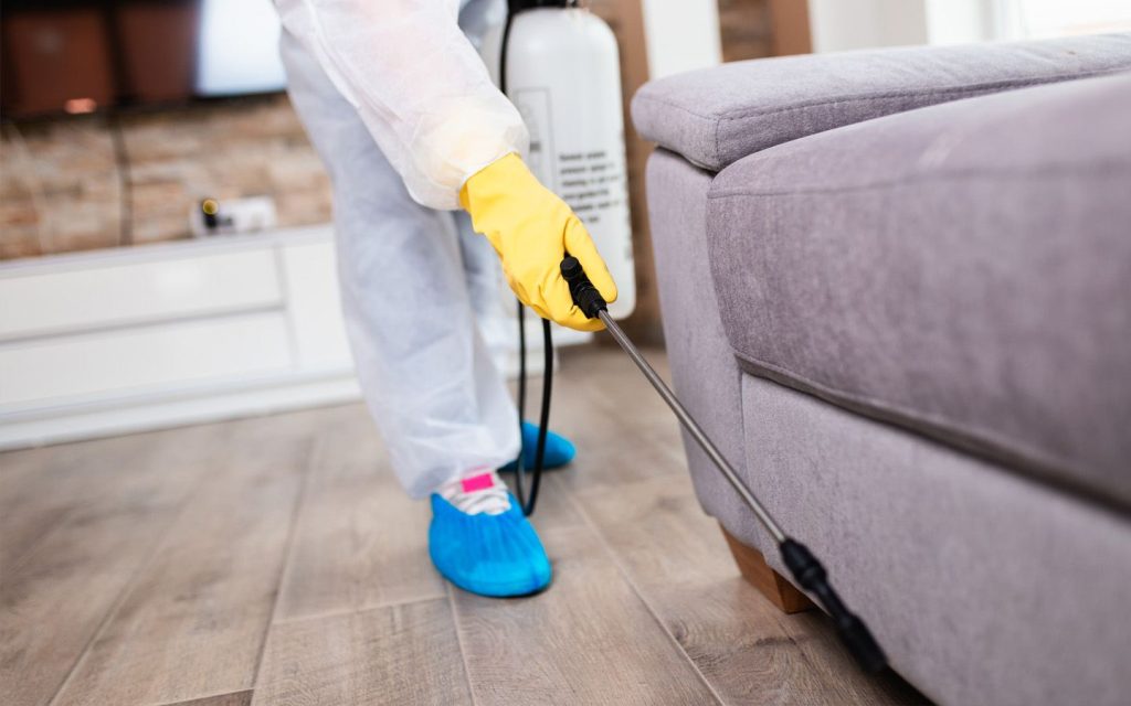 Rentokil is one of the licensed pest control technicians in Dubai
