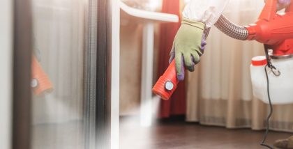 Pest Control Companies in Dubai