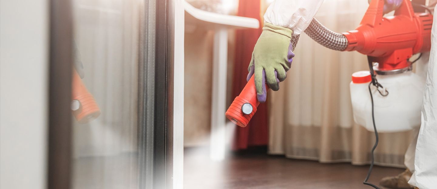 Pest Control Companies in Dubai