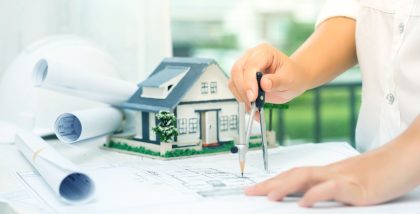 government's vision plans in the UAE