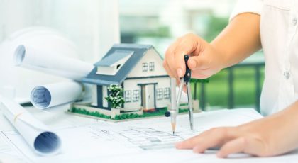 government's vision plans in the UAE