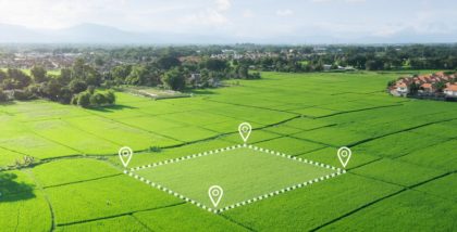 أرض عشبية