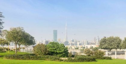 Greenery around Dubai Airport Free Zone (DAFZ)