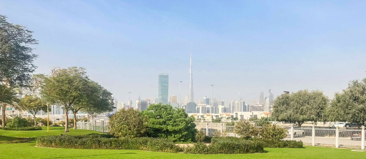 Greenery around Dubai Airport Free Zone (DAFZ)